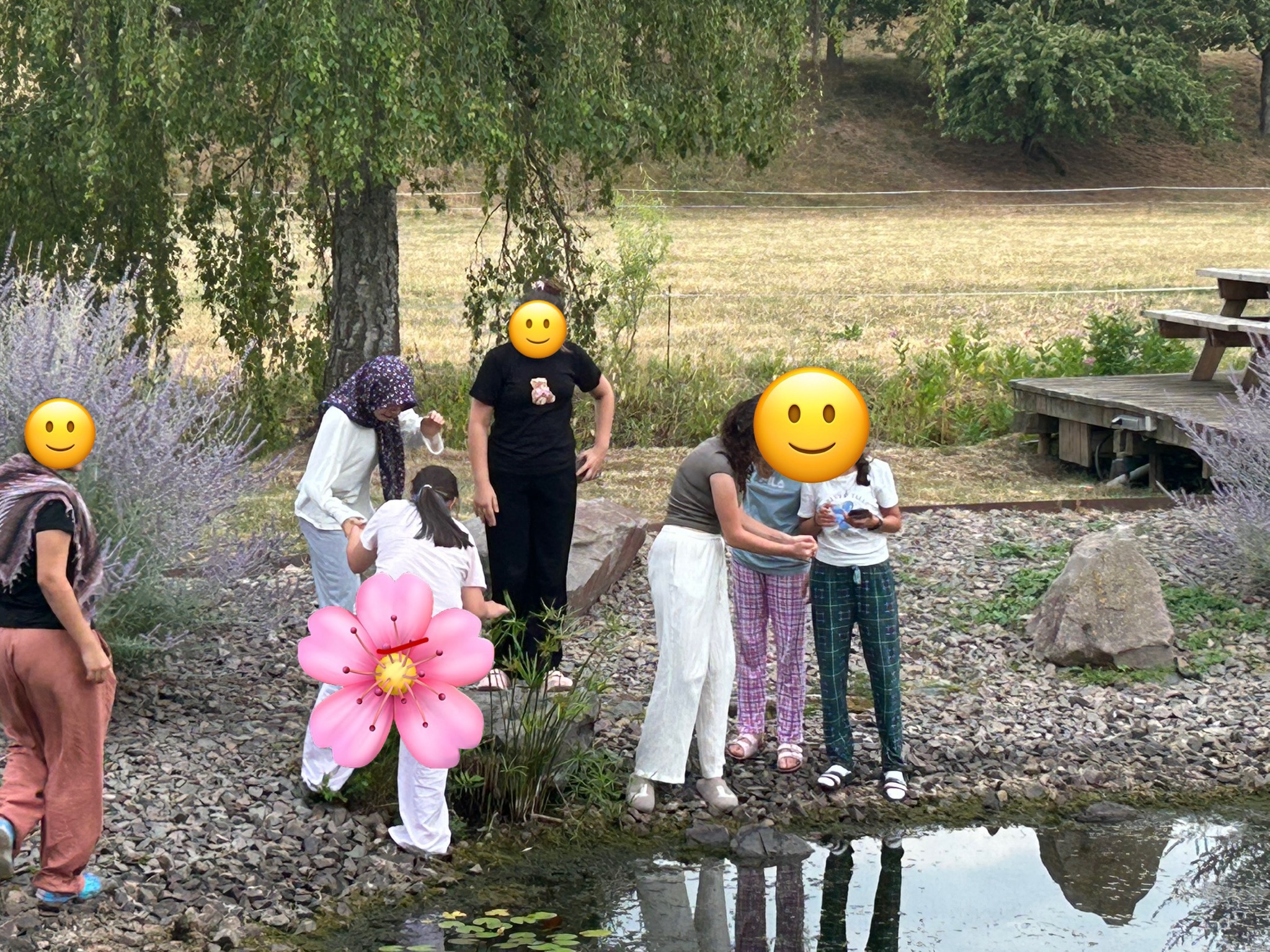 Bild1