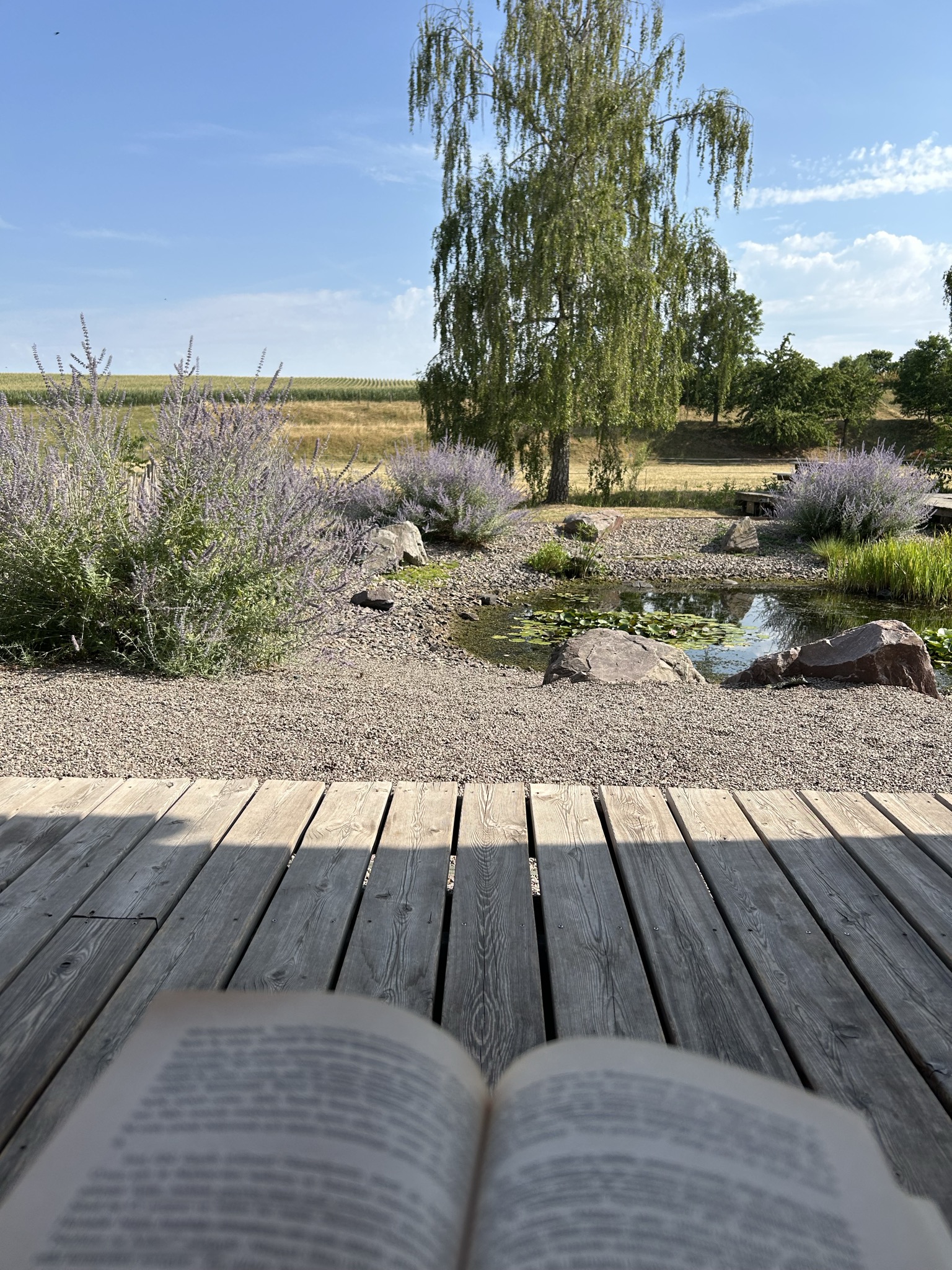 Bild3